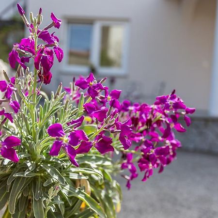 Apartment Ana Polje  Екстер'єр фото